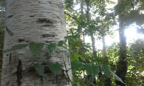 Zitate zur Stärkung und Ermutigung